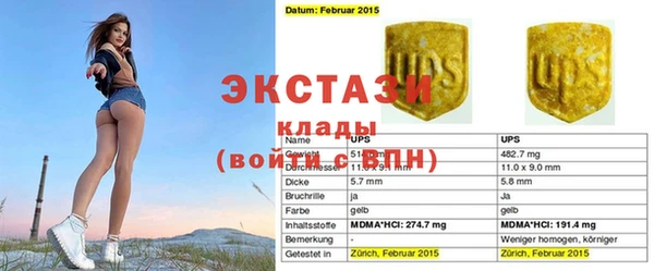 индика Сосновоборск