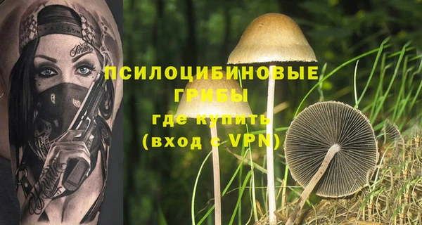 каннабис Беломорск